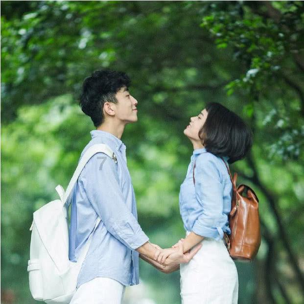 滚动的奶酪选关版